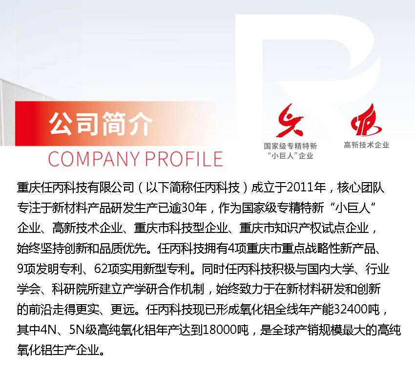 公司简介 新.jpg