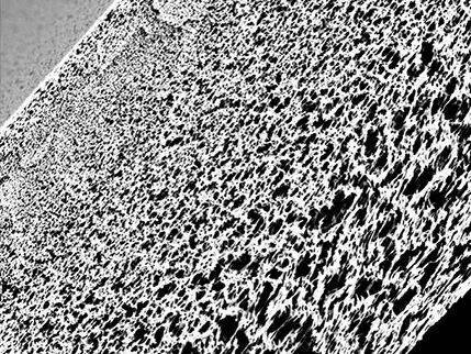 142125_706155_jsue_gsdt.jpg