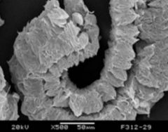 膨胀石墨的图片