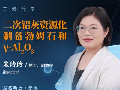 二次铝灰变身勃姆石？专家为你解答！