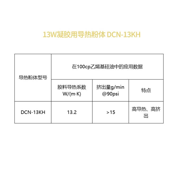 DCN-13KH正.jpg