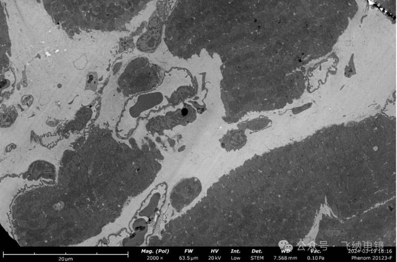 110525_168893_jsue_gsdt.jpg