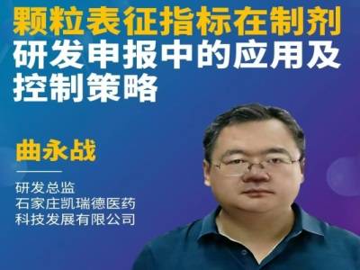 颗粒表征指标在制剂研发申报中的应用及控制策略