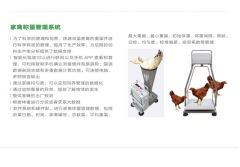 ORKA 家禽称量管理系统的图片