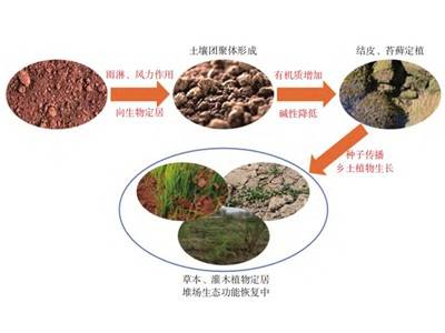 赤泥最好的归宿，变成泥！