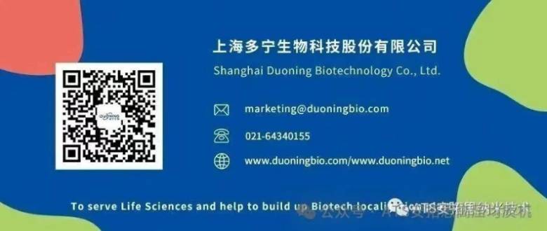 101219_049506_jsue_gsdt.png