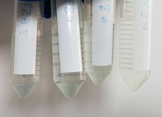 微信图片_2026-04-27_142917_669.png