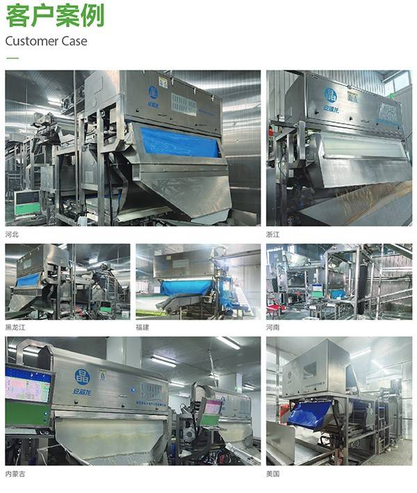 091146_720460_ue_procont.jpg 冷冻蔬菜分选案例.jpg