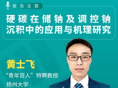 扬州大学黄士飞教授：硬碳在储钠及调控钠沉积中的应用与机理研究