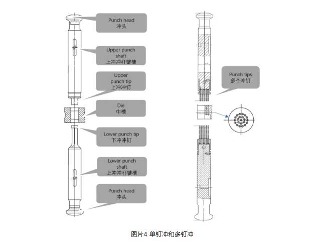 微信图片_20261005092731_411_5.png